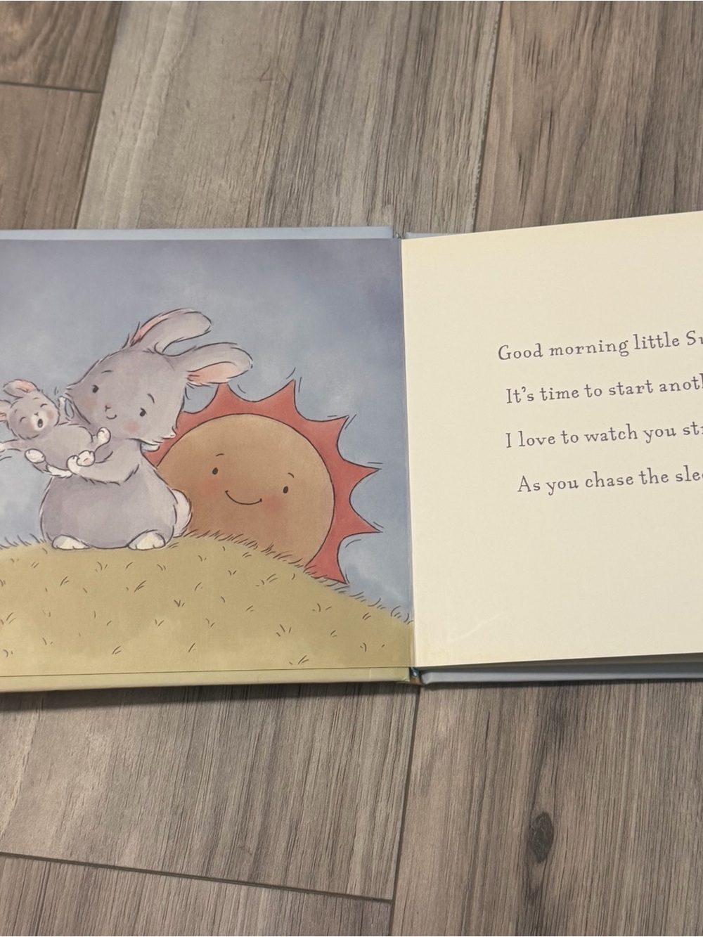 “Hooray for Fish!” & “Little Sunshine” Children's Board Book Set of 2 - Picture 7 of 7